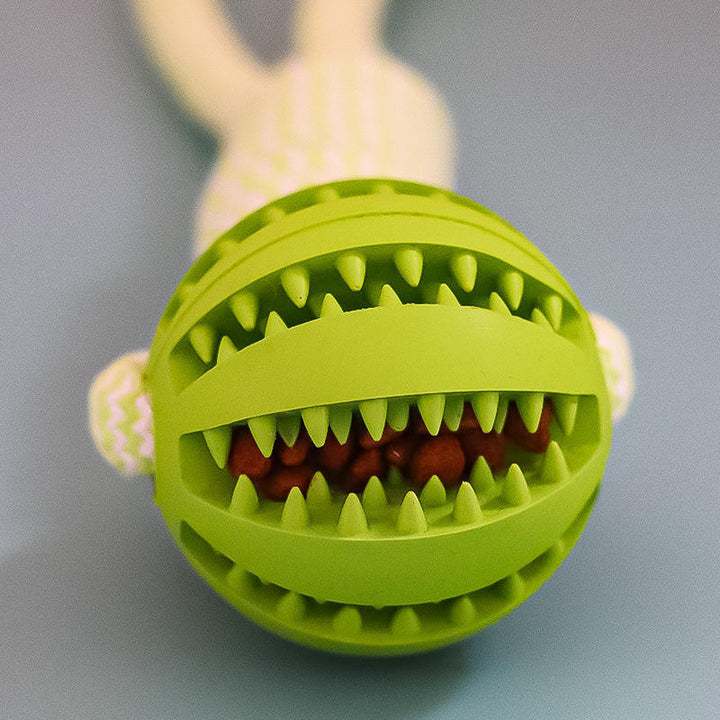 Bite Resistant Leaking Balls For Dogs - FUR VIVIA