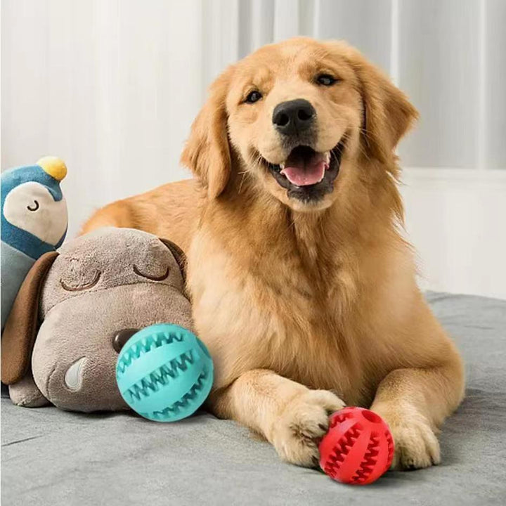 Bite Resistant Leaking Balls For Dogs - FUR VIVIA
