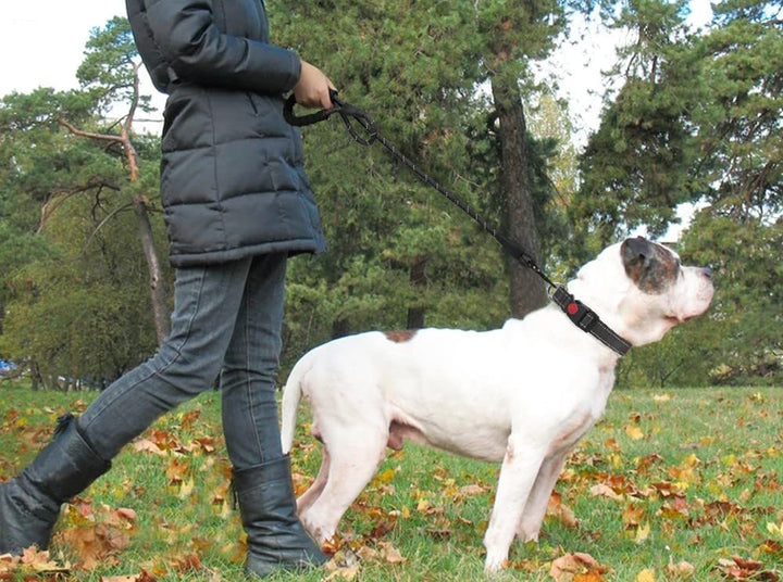 Dogs Leash Reflective - FUR VIVIA