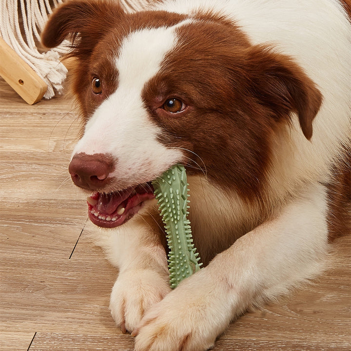 Teeth Cleaning Pet Toothbrush - FUR VIVIA