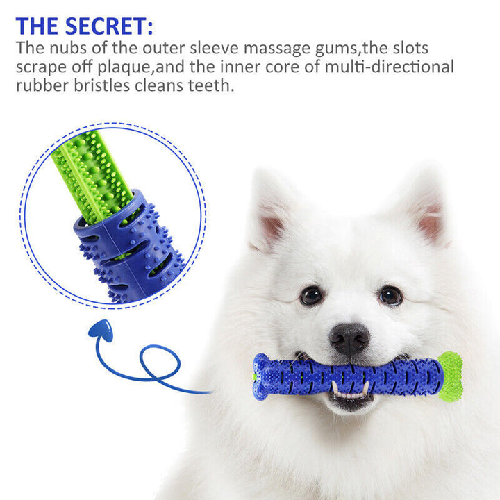 Chew Bite Teeth Cleaning Pet Molar Brushing Stick - FUR VIVIA