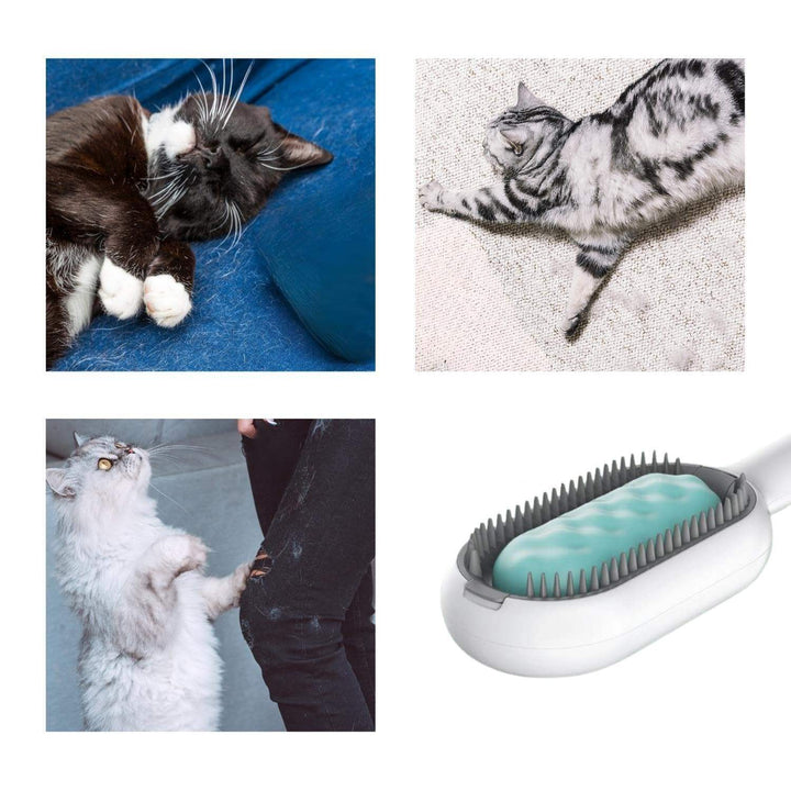 4 In-1 Cat Grooming Brush - FUR VIVIA