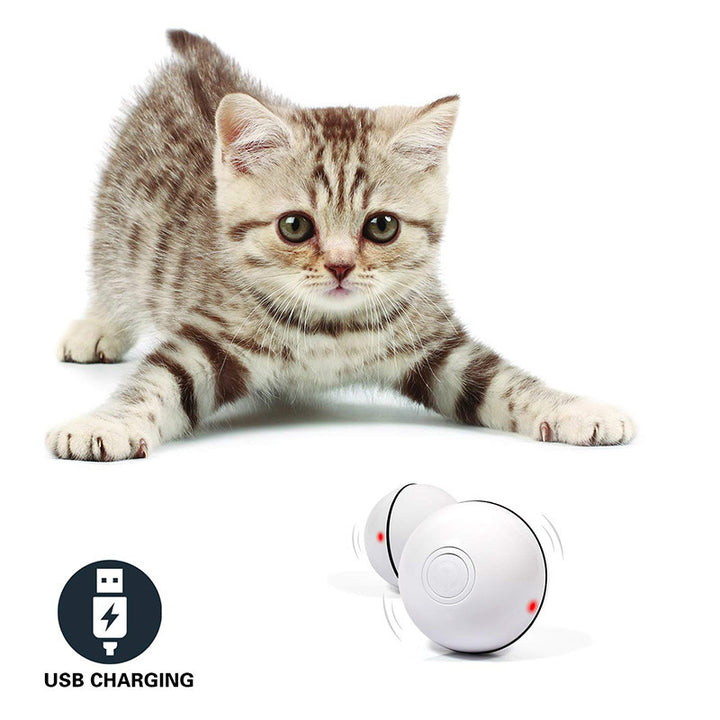 Laser Electronic Rollin Funny Cat Toy Ball - FUR VIVIA