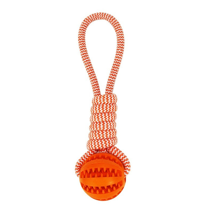 Bite Resistant Leaking Balls For Dogs - FUR VIVIA