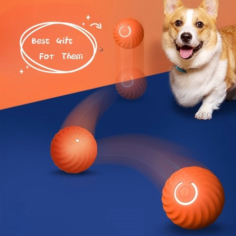 Resistance To Bite Dog Training Ball - FUR VIVIA