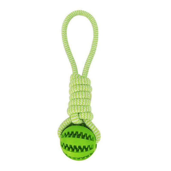 Bite Resistant Leaking Balls For Dogs - FUR VIVIA