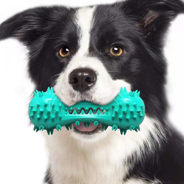 Cleaning Chew Toys For Aggressive Dogs - Molar Stick - FUR VIVIA