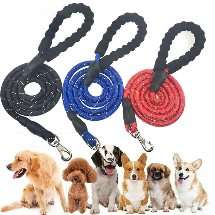 Dogs Leash Reflective - FUR VIVIA