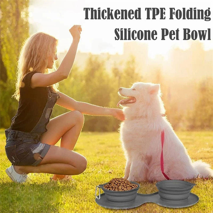 Rubber Foldable Double Bowl Pet Feeding Bowl - FUR VIVIA
