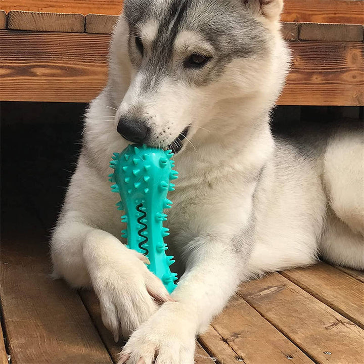 Cleaning Chew Toys For Aggressive Dogs - Molar Stick - FUR VIVIA