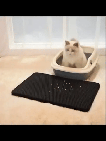 Honeycomb Cat Litter Pad - FUR VIVIA