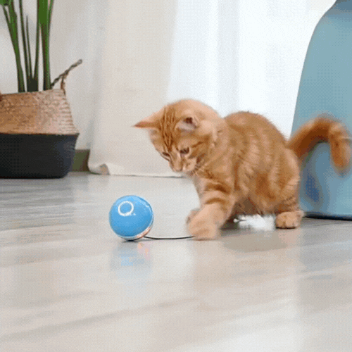 Laser Electronic Rollin Funny Cat Toy Ball - FUR VIVIA
