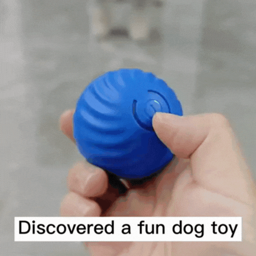 Resistance To Bite Dog Training Ball - FUR VIVIA