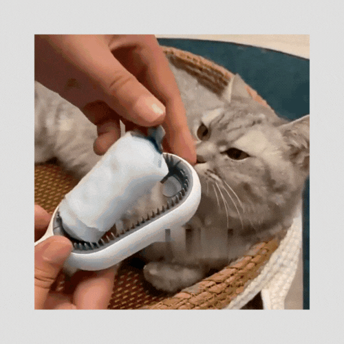 4 In-1 Cat Grooming Brush - FUR VIVIA